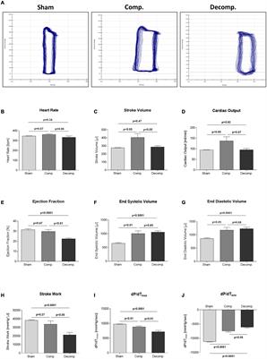 Distribution of Cardiac and Renal Corin and Proprotein Convertase Subtilisin/Kexin-6 in the Experimental Model of Cardio-Renal Syndrome of Various Severities